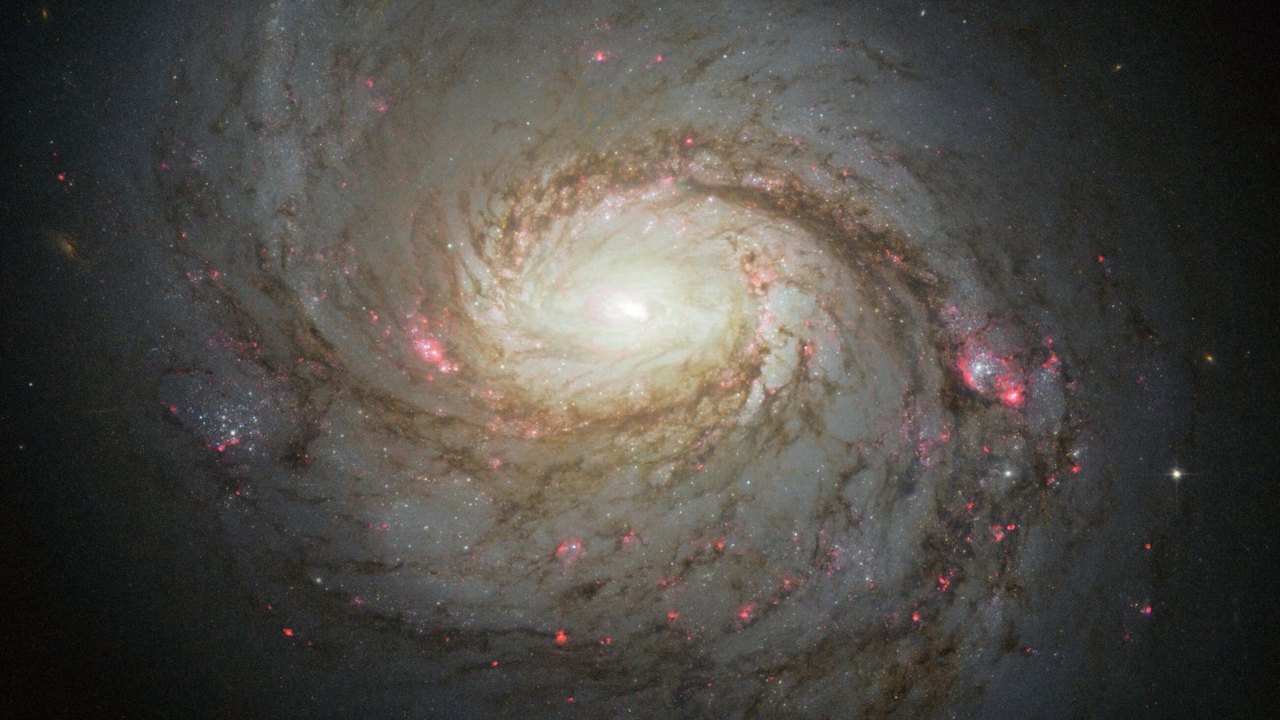 Astrônomos revelam a galáxia mais extensa conhecida no Universo com 1,6 milhão de anos-luz
