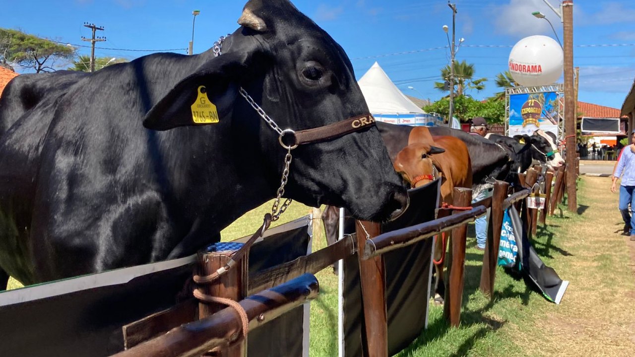 Expoagro 2021 fatura R$ 20 milhões e bate recorde