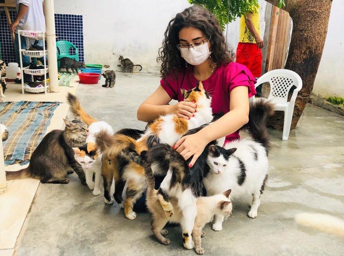 Teca Nelma cobra urgência do Hospital Público Veterinário de Maceió
