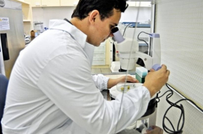 AL mira em cooperação científica internacional para investidores coreanos