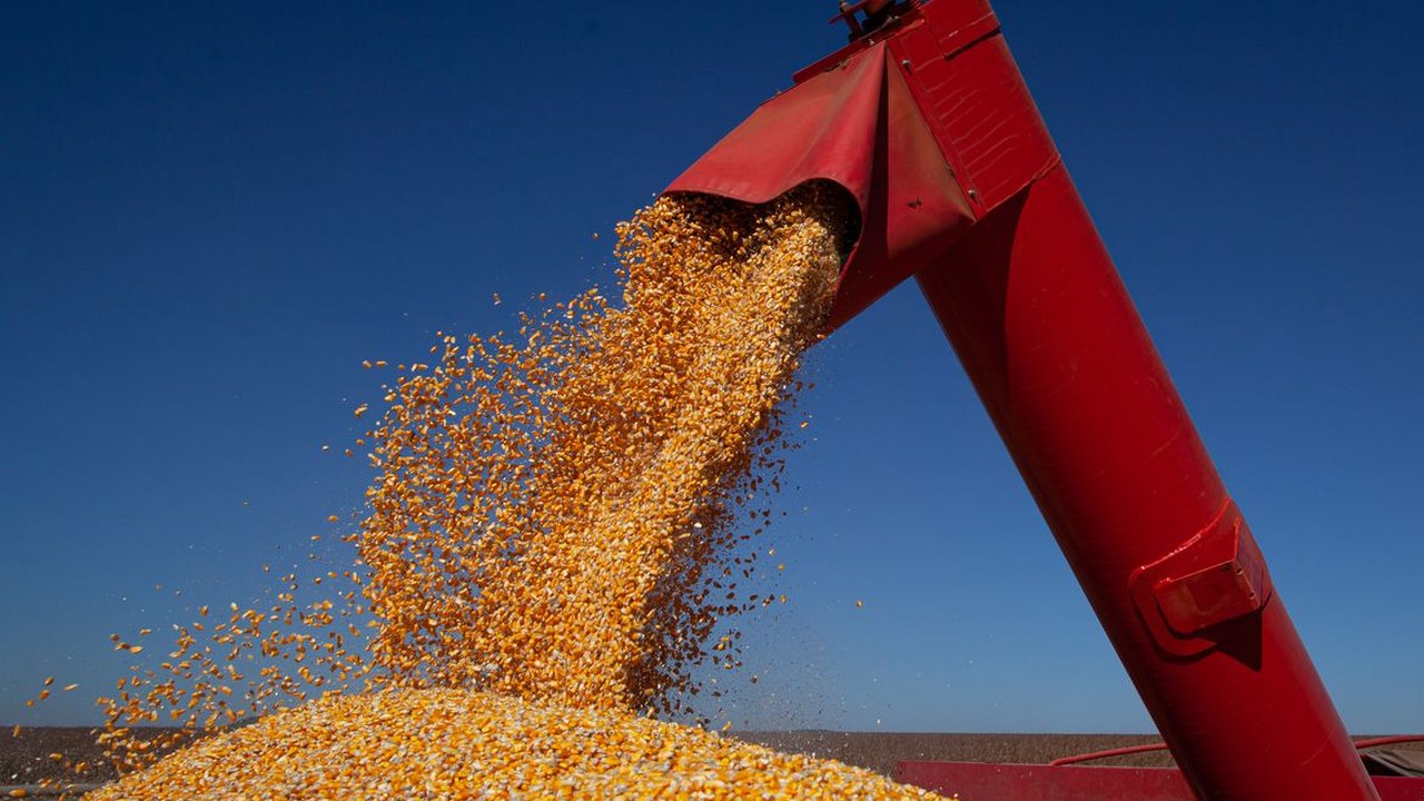 6ª estimativa da Conab para safra 2021/22 indica produção de 265,70 milhões de t