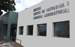 News title