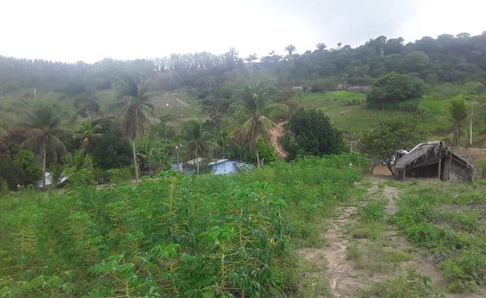 Agricultores ocupam há décadas a área que, segundo herdeiros, foi invadida por Álvaro Vasconcelos