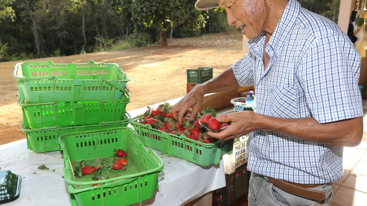 Finep vai pagar R$ 220 milhões para inovações em agricultura familiar