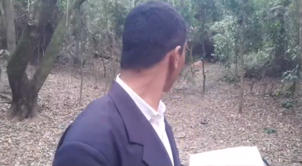 Pastor é surpreendido por onça-parda durante pregação; VÍDEO