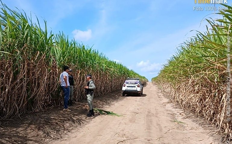 PC apura homicídio de homem localizado enterrado em canavial na zona rural de Penedo
