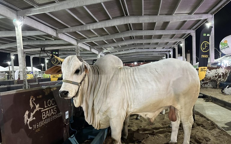 Com apoio do Governo de Alagoas, 74ª Expoagro registra o maior público de todas os edições