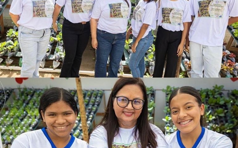 Startup alagoana inaugura projeto de hortas hidropônicas em escola pública