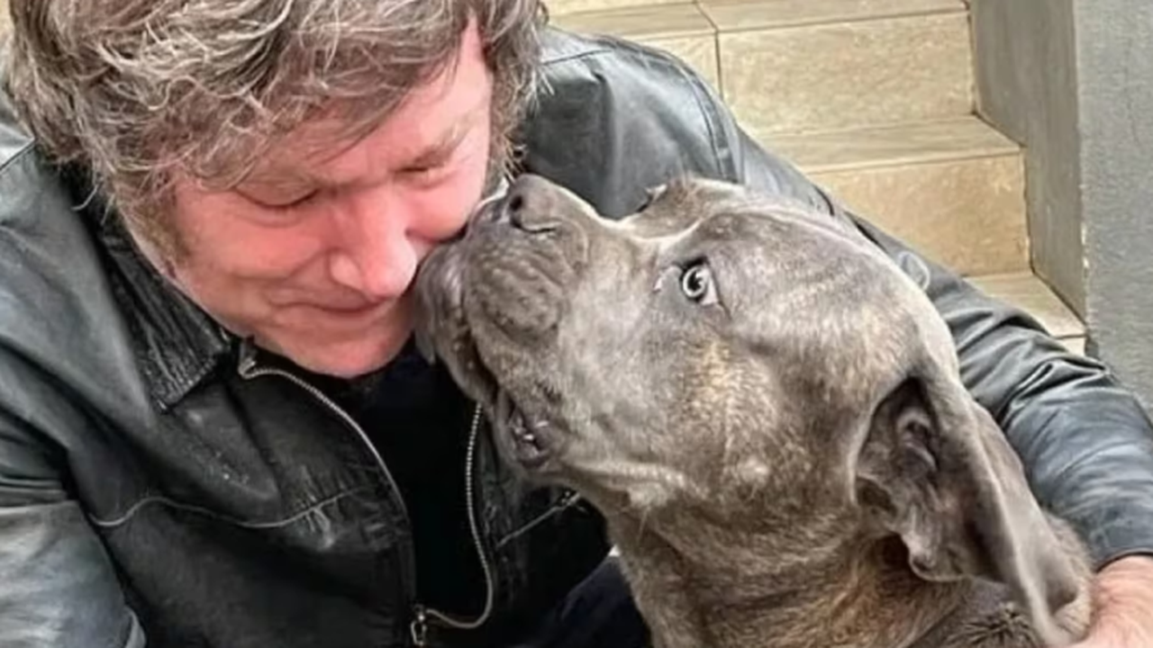 São quatro ou cinco? Mistério envolvendo cães do presidente argentino levanta dúvida sobre sua sanidade mental 