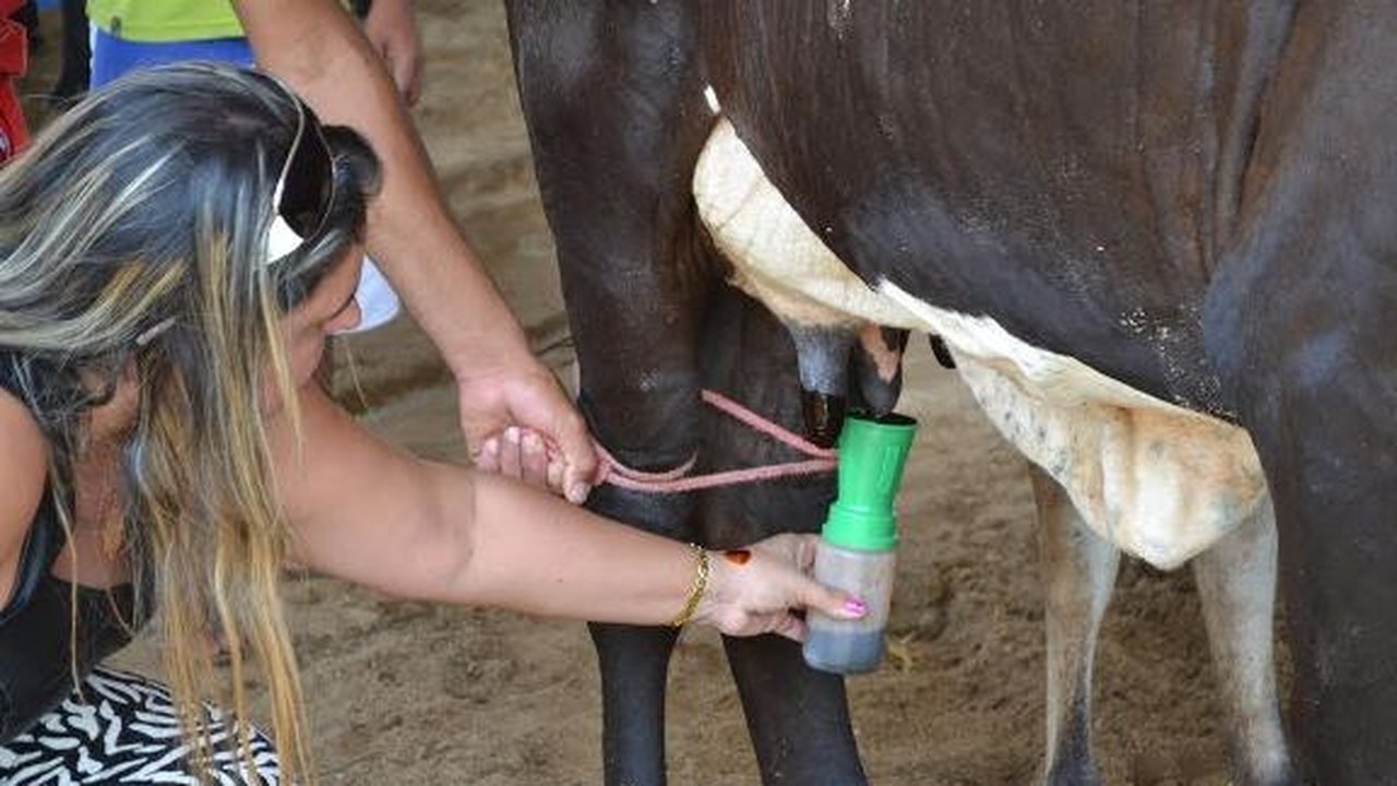 Assistência Técnica potencializa a produção de Leite em Alagoas