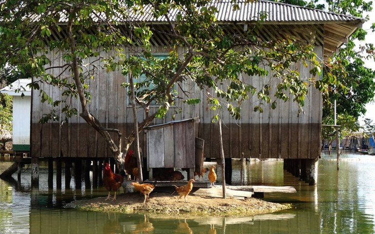 Os desafios ambientais e o perigo aos povos ribeirinhos em Alagoas