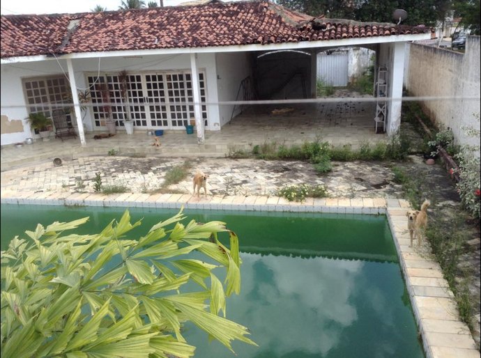 OAB/AL constata abandono de cães  em casa e dona deve responder pelo crime