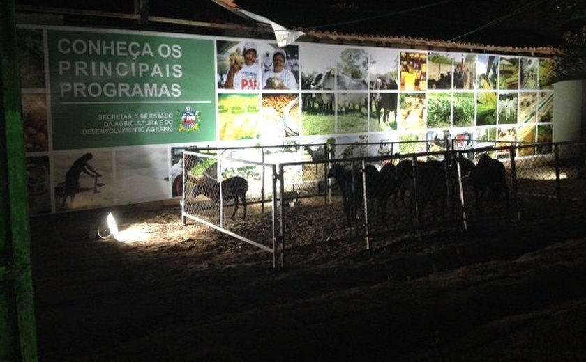 Programa Mais Ovinos é destaque na 64ª edição da Expoagro em Alagoas