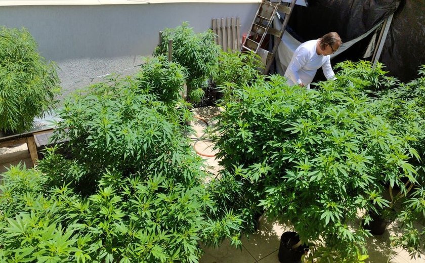 Cingapura enforca homem por traficar 1 kg de maconha