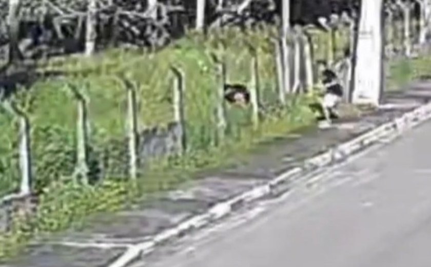 Polícia Civil divulga imagens de suspeitos de homicídio em Marechal Deodoro