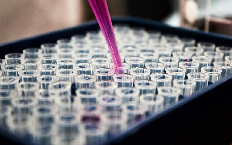 Estados do Sudeste e Sul lideram índice nacional de inovação