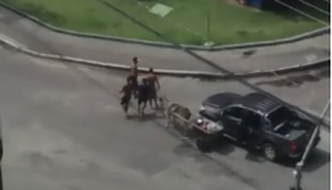 carroceiro agressão