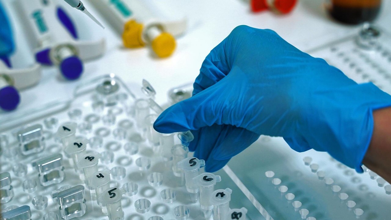 EUA e França financiam laboratório de alto risco biológico no Congo, alerta regulador russo