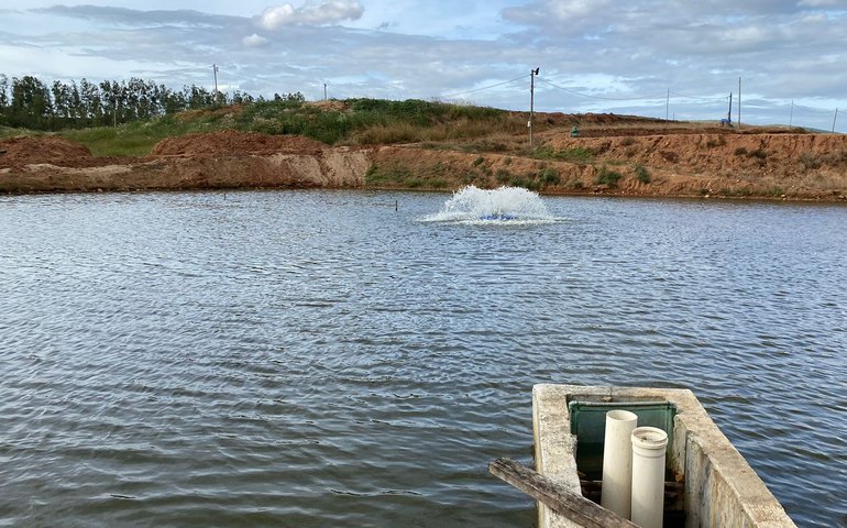 Referência na criação de camarões em Alagoas, Arapiraca realiza 2° Seminário de Carcinicultura