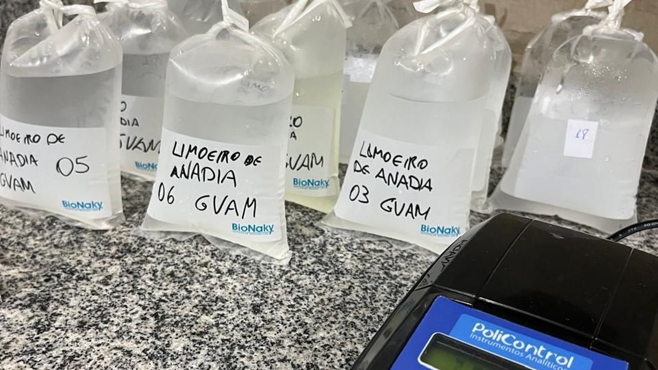 FPI comprova má qualidade da água distribuída a sete municípios do Agreste alagoano