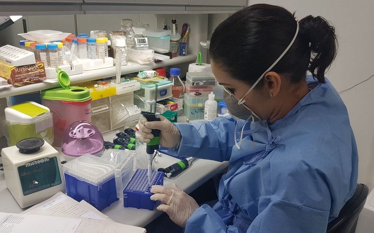 Brasil elimina elefantíase como problema de saúde pública