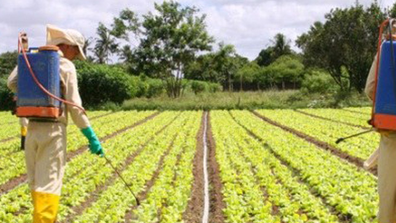Governo reforça fiscalização sobre o uso de produtos agrotóxicos