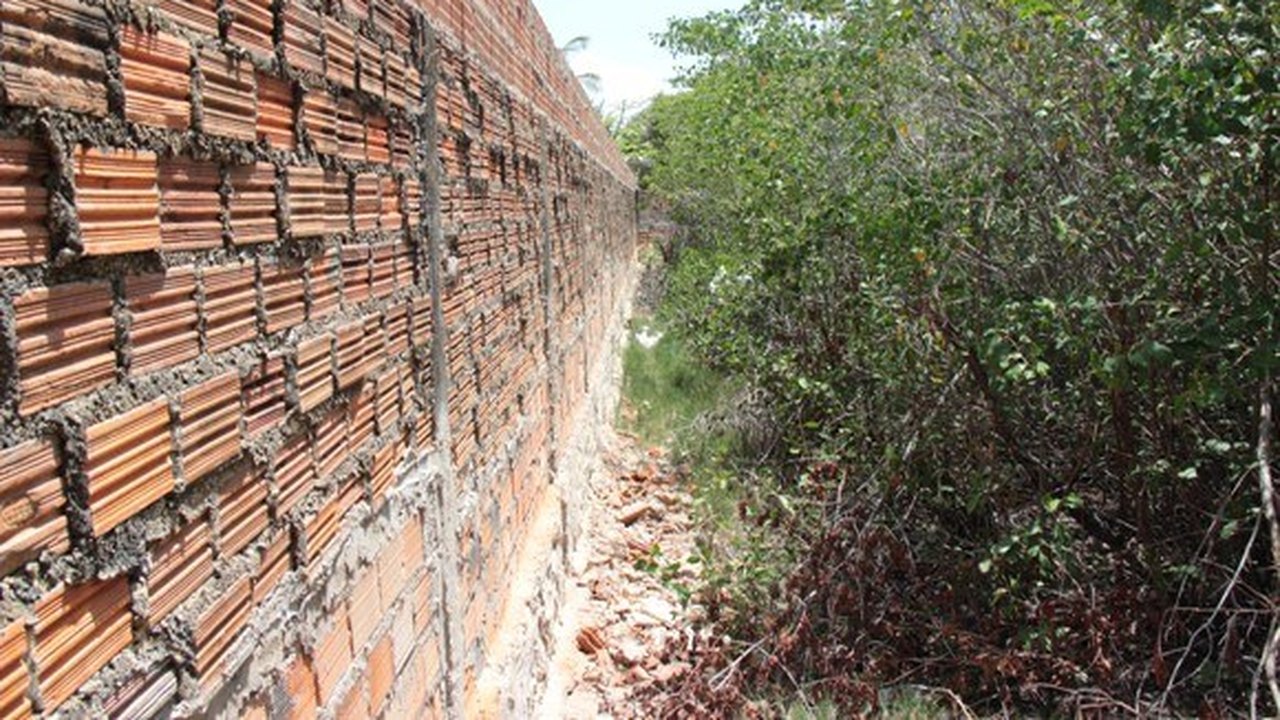 Construções em áreas de manguezal deverão ser demolidas em Maragogi