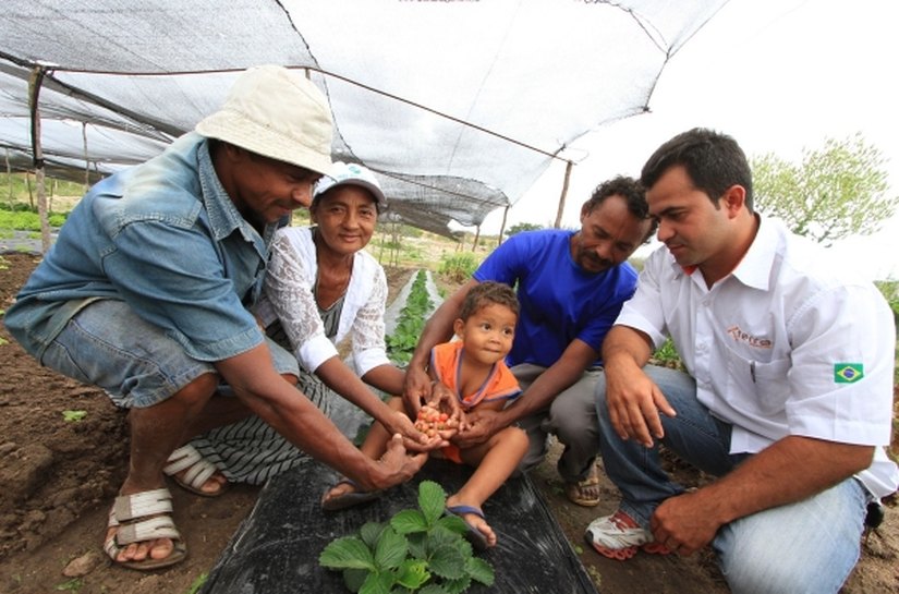 Governo do Estado garante R$ 22 milhões do Garantia-Safra para Alagoas