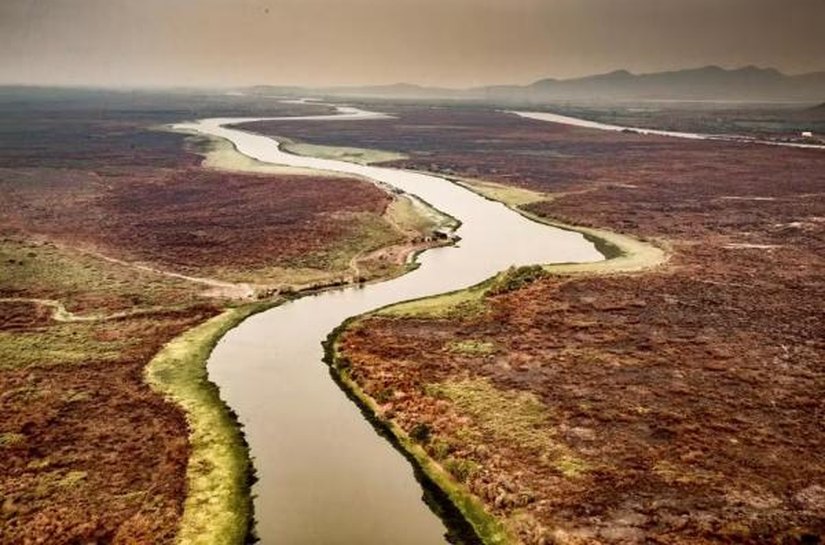 Pantanal teve 10.825 hectares queimados em janeiro de 2025