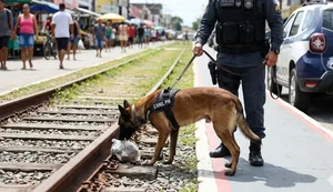 Faro fino: cão da PM encontra crack escondido nos trilhos da Ciclovia do Trabalhador; jovem é preso