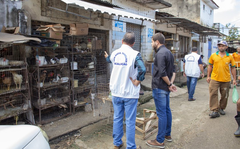 Vigilância Sanitária de Maceió apreende meia tonelada de alimentos impróprios para consumo