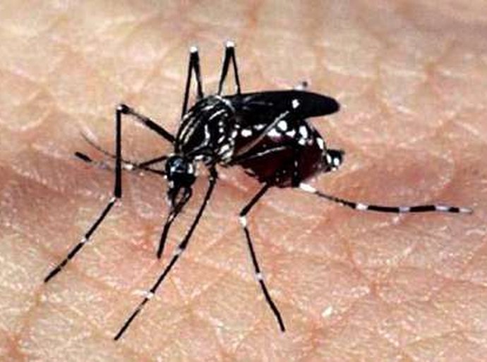 CCZ reforça combate à dengue e a outras doenças