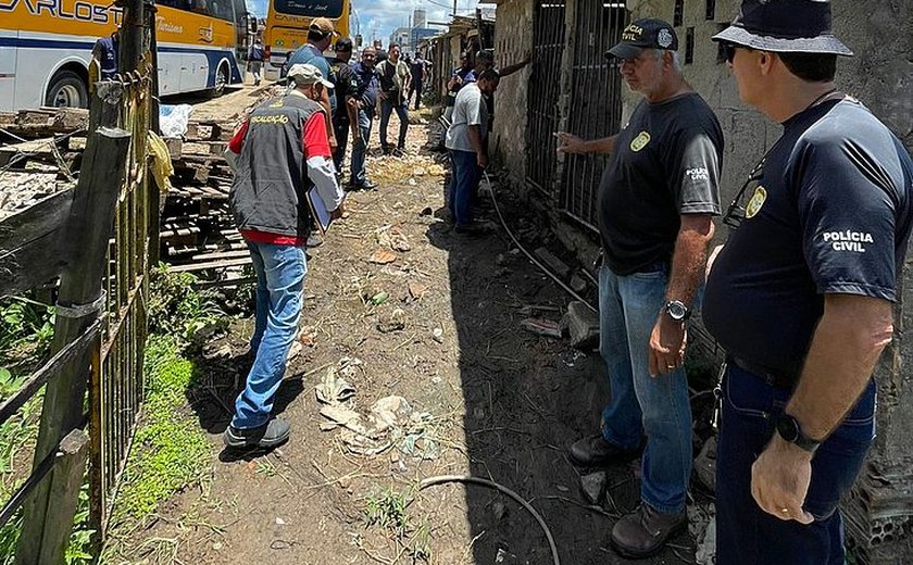 Porcos e cavalos são encontrados em barracos em condições insalubres, no bairro Santa Amélia