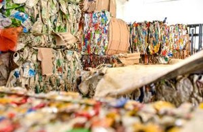 Estudo aponta que brasileiros priorizam consciência ambiental na hora de reciclar