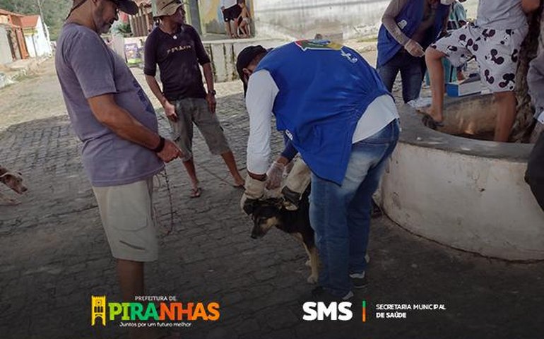 Prefeitura de Piranhas realiza testes rápidos em cães para prevenir calazar