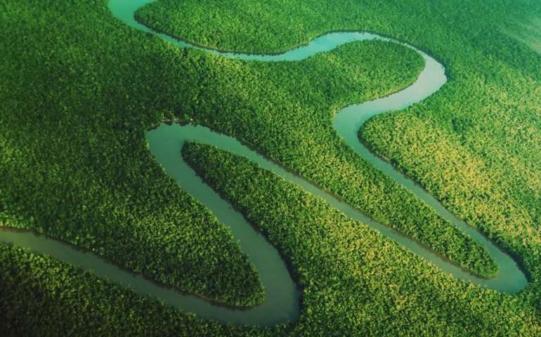 Comissões debatem papel da juventude na preparação da COP 30