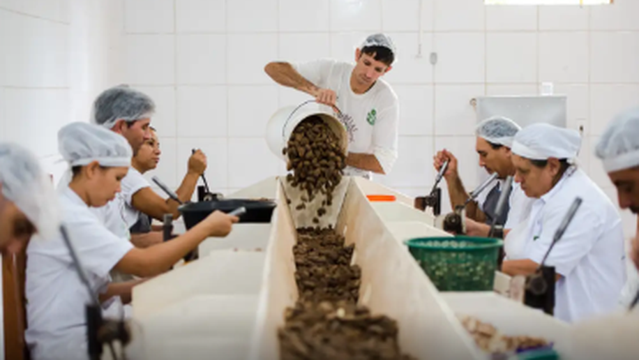 Consulta sobre bens sustentáveis no acordo Mercosul–UE acaba na quarta