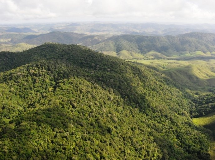 Inventário Florestal de Alagoas é apresentado durante palestra no IMA