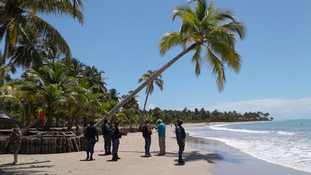 TV Câmara chega a 307 cidades de Alagoas, Bahia, Sergipe e Pernambuco