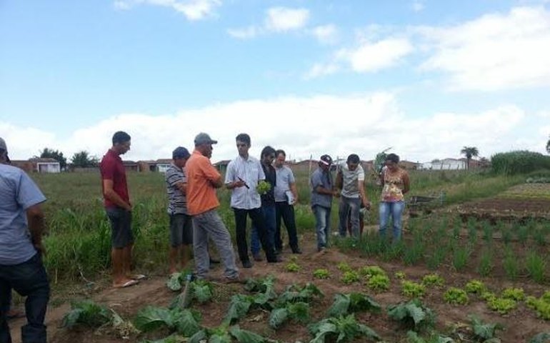 Produtores do APL Horticultura recebem capacitação sobre boas práticas