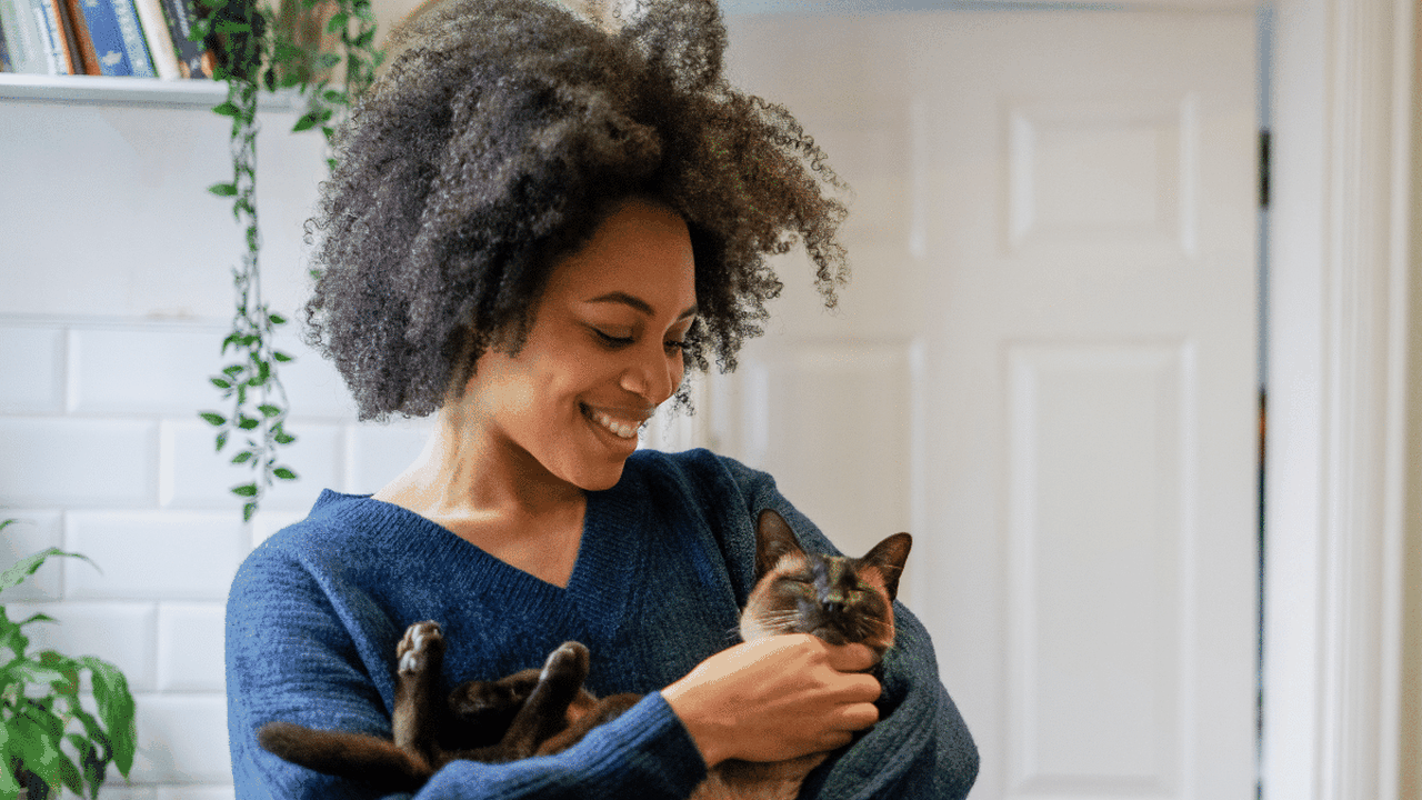 Não é vingança nem manha: 7 comportamentos dos gatos interpretados errados e que podem indicar questões de saúde