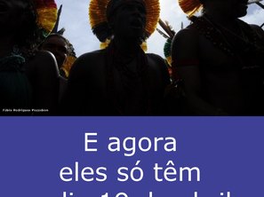 Divulgação
