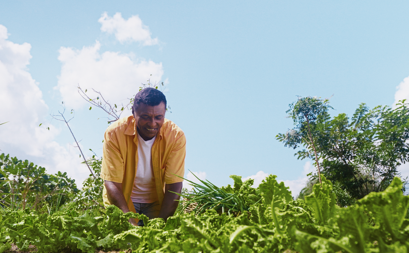 Programa Garantia-Safra libera pagamento para mais de 22 mil agricultores alagoanos