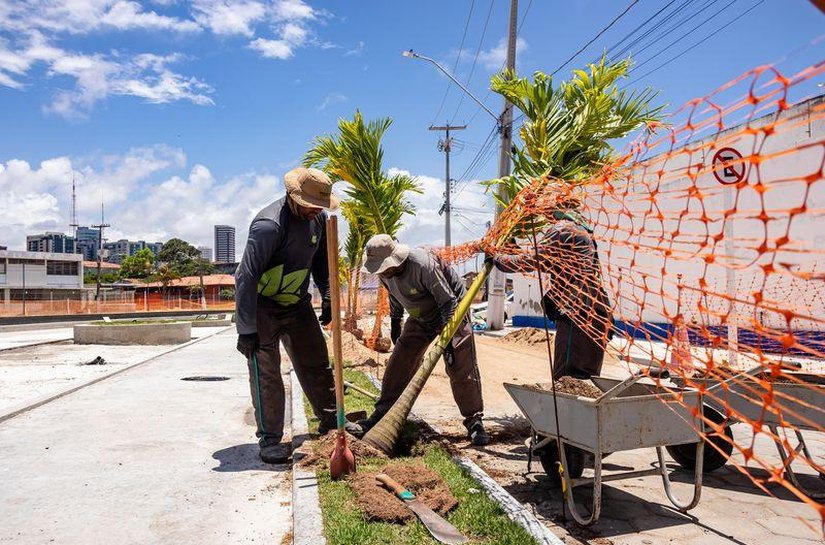Arborização avança e marca reta final do Renasce Salgadinho, maior obra ambiental de Maceió