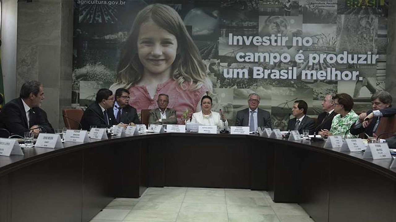 Kátia Abreu faz rodada de reuniões para conectar ações do Mapa ao setor produtivo