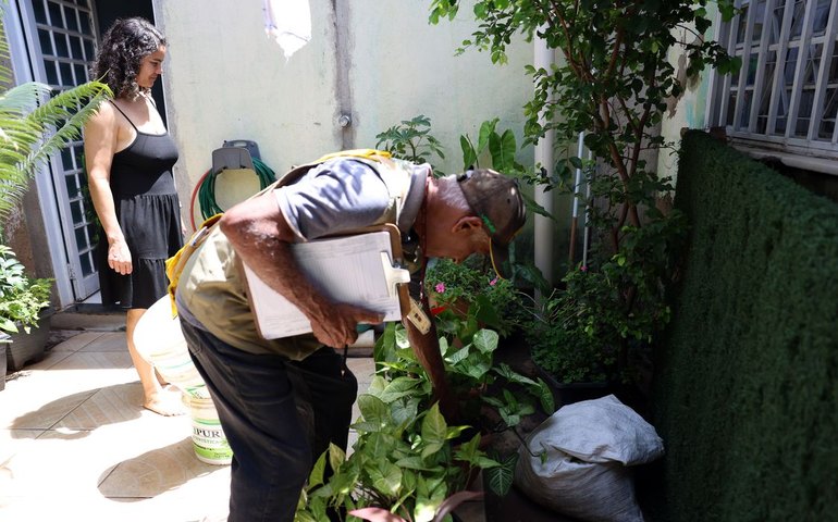 Dia D combate focos de mosquito da dengue em todo o país