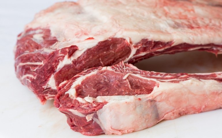 África do Sul quer comprar carne bovina de Santa Catarina