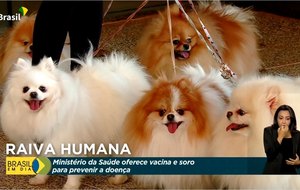 News title