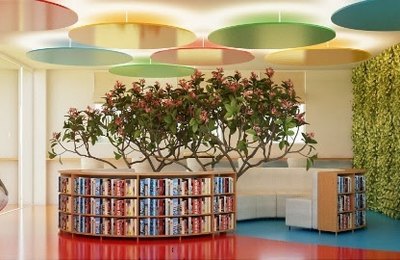 Maple Bear Maceió expande instalações e lança 6º ano do Ensino Fundamental II com proposta inovadora