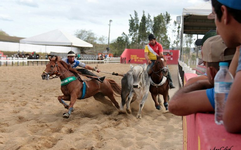 Arapiraca recebe 4ª etapa do Circuito ALQM de Vaquejada